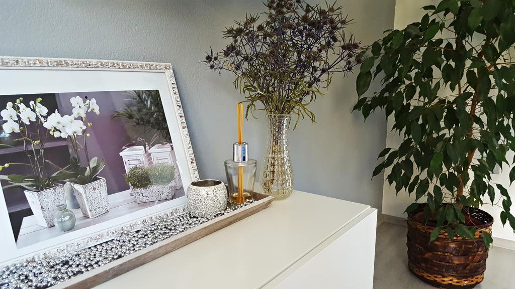 Apartment Lipa Irinovac Ngoại thất bức ảnh